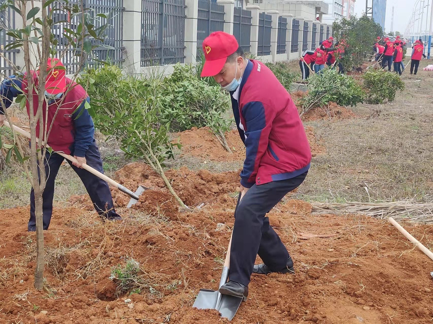 党员植树活动 党员植树活动